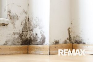 Black mold spreading up a white interior wall above wood baseboards in a Hendricks County home, a common worry when selling a house with mold in Indiana.